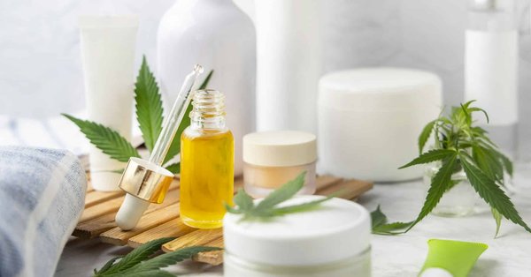 Code promo : où obtenir la meilleure option ?